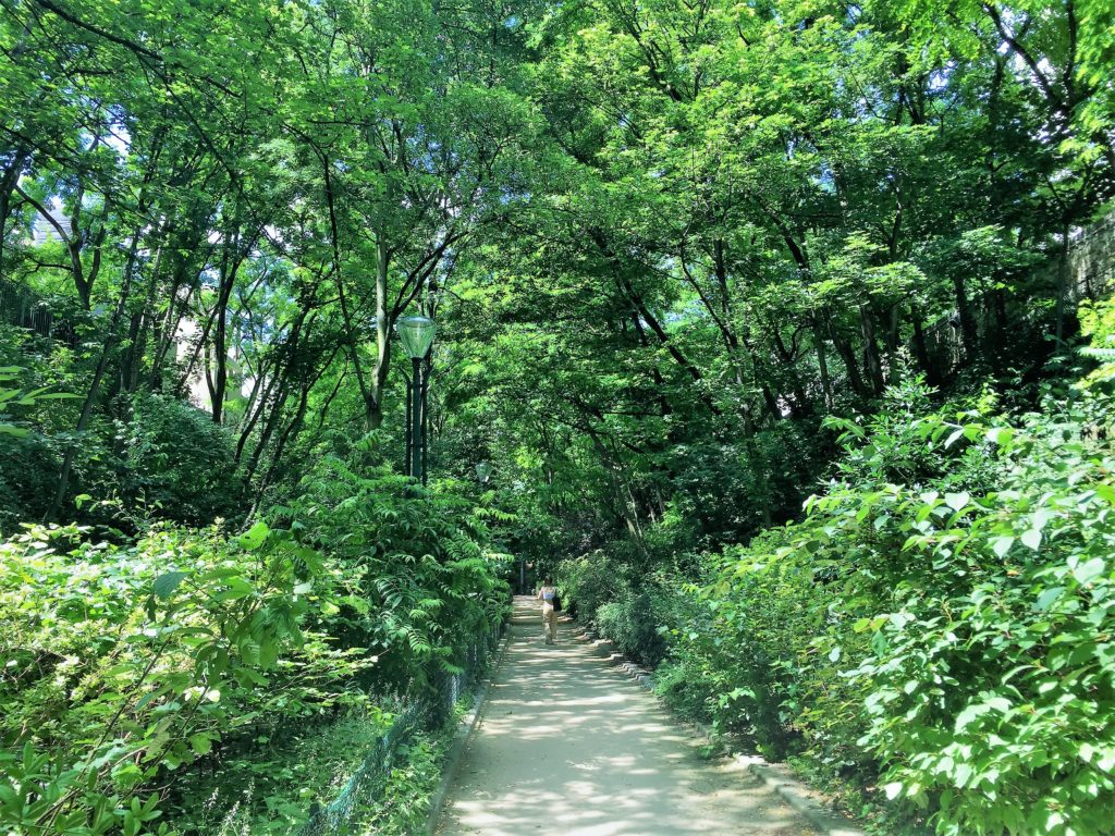 プロムナード・プランテの森の中の散歩道